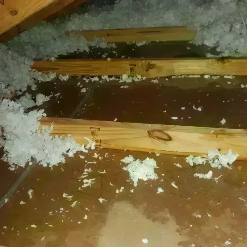 Attic Water Damage in Foster, RI